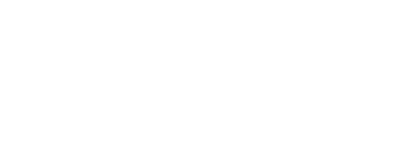 Proyecto Jilguero